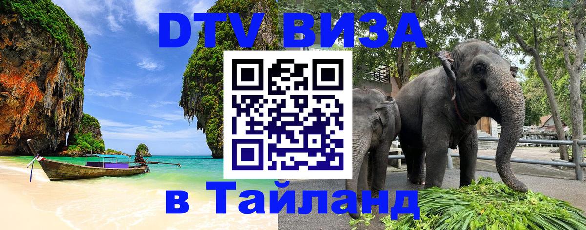 Сколько стоит DTV виза — актуальные цены, оформление даже без документов - 